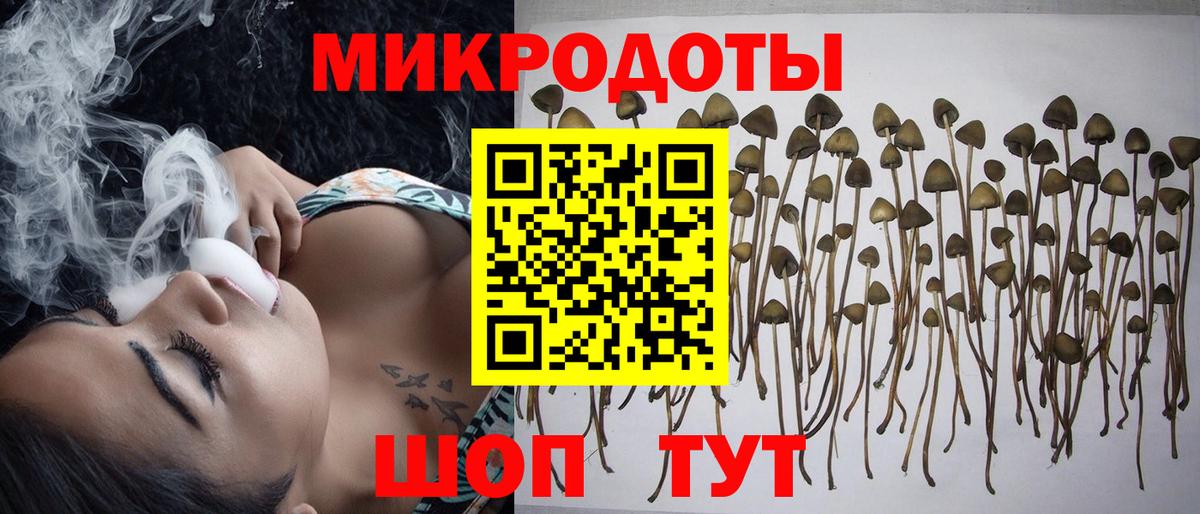 Псилоцибиновые грибы Psilocybe  Псилоцибиновые грибы мицелий  Вход с VPN  Острогожск 